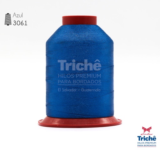 [0000015] Hilo para bordado 3061