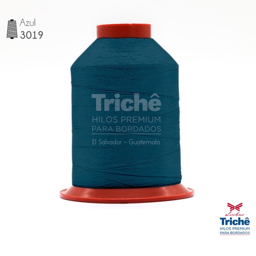 [0000638] Hilo para bordado 3019