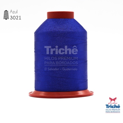 [0000090] Hilo para bordado 3021