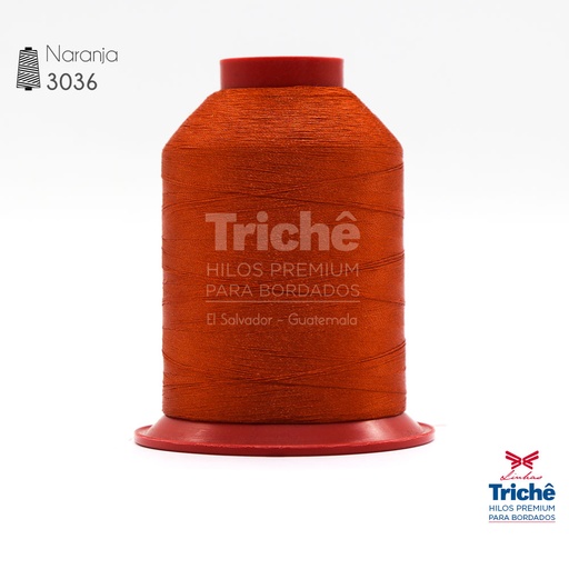 [0000152] Hilo para bordado 3036