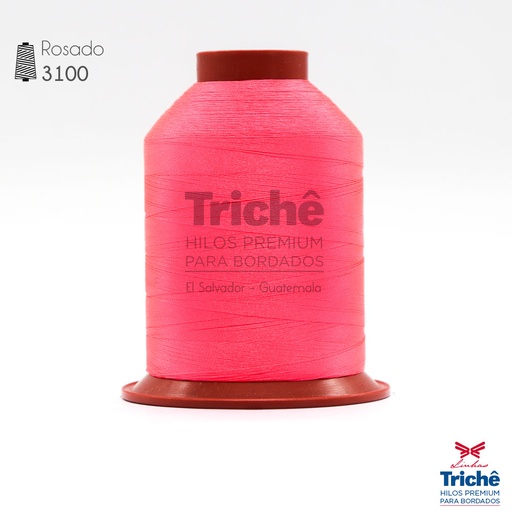 [0005846] Hilo para bordado 3100