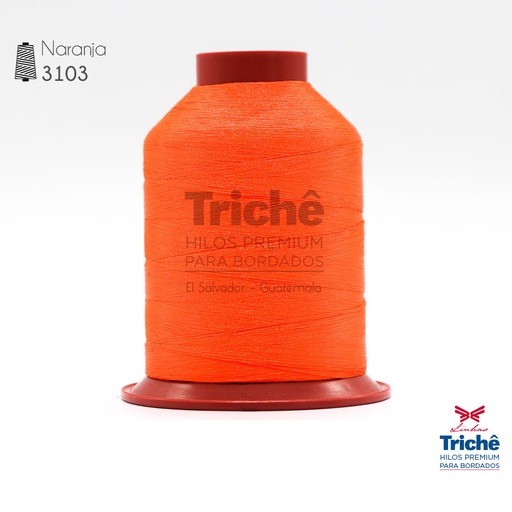 [0000162] Hilo para bordado 3103