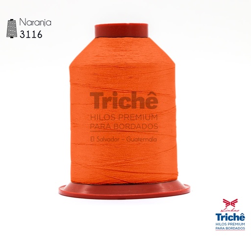 [0000161] Hilo para bordado 3116